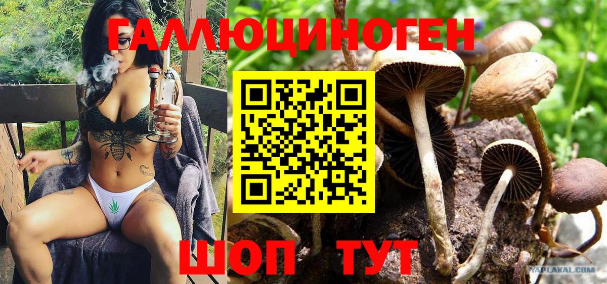 Галлюциногенные грибы GOLDEN TEACHER  Вход с VPN  купить наркоту  Ковров 